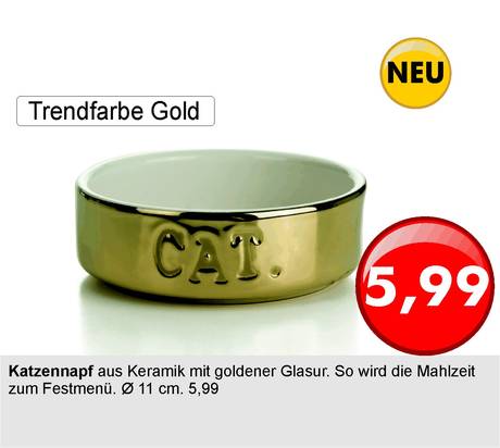 Katzennapf Napf gold